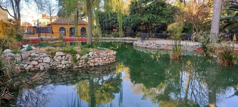 seguro de decesos en torrent