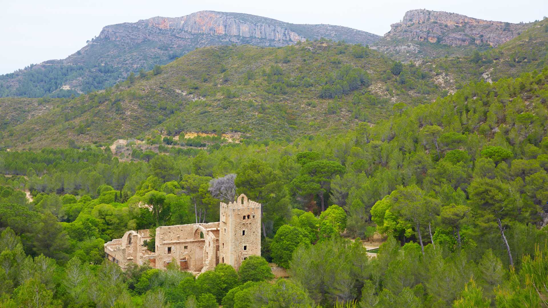 seguro de decesos ribera alta
